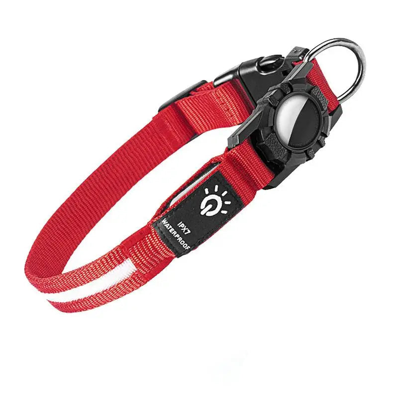 Glow-in-the-Dark Dog Collar