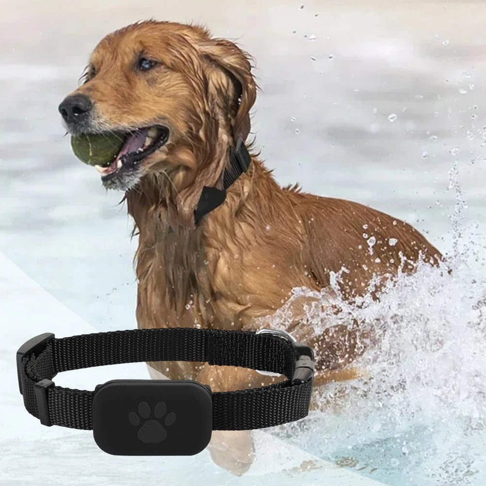 Pet GPS Tracker Collar