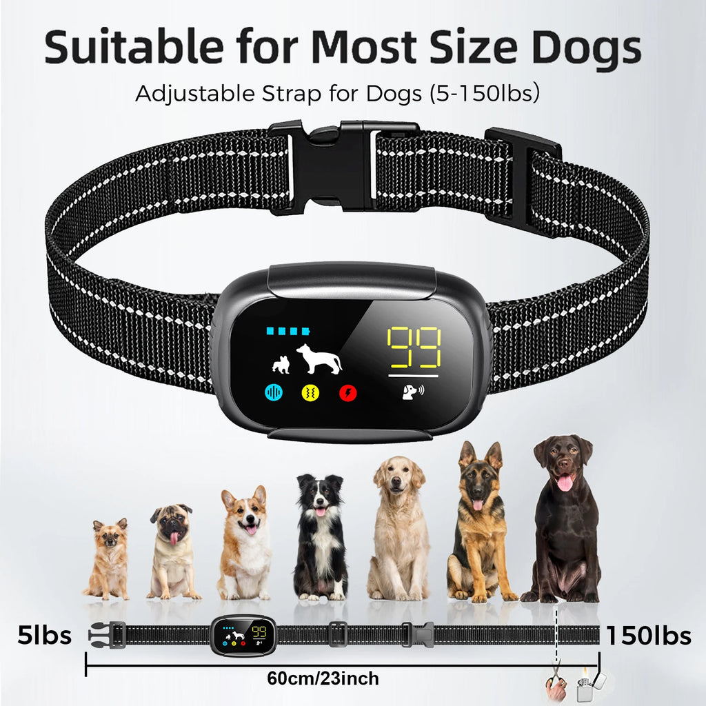 Rechargeable Dog Training Collar