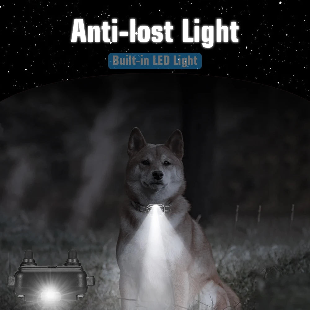 Remote Dog Training Collar