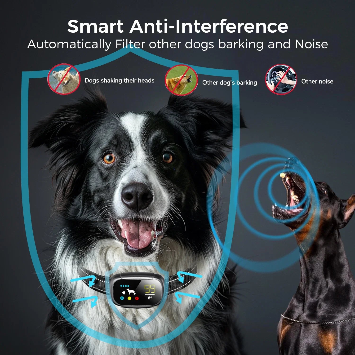 Rechargeable Dog Training Collar