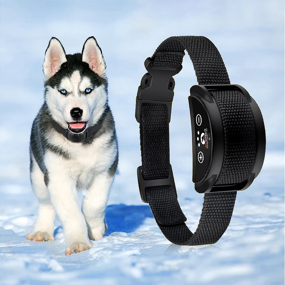 Vibration Anti-Bark Collar