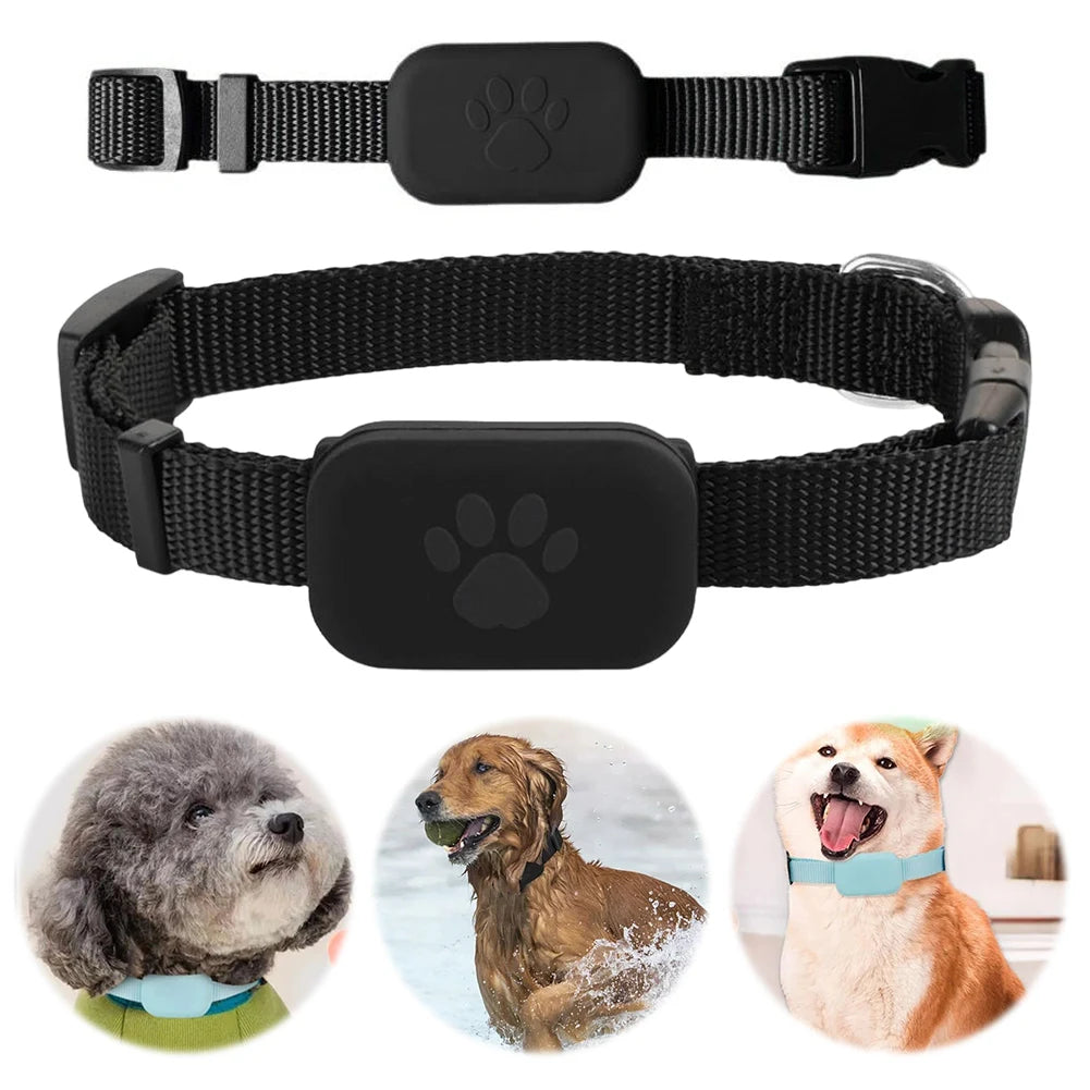 Pet GPS Tracker Collar