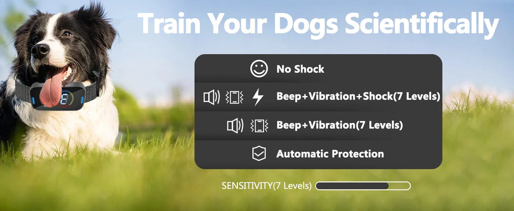 Smart Anti-Bark Dog Collar